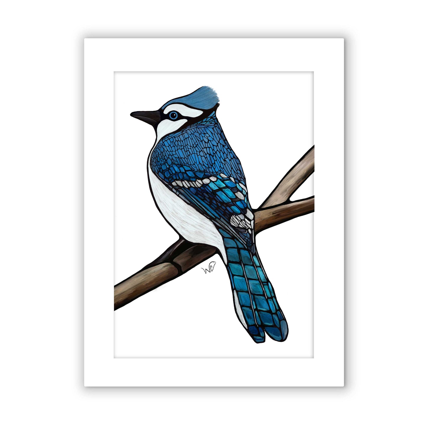 Signed & Matted Print - Blue Jay - Unperfekt-Studios