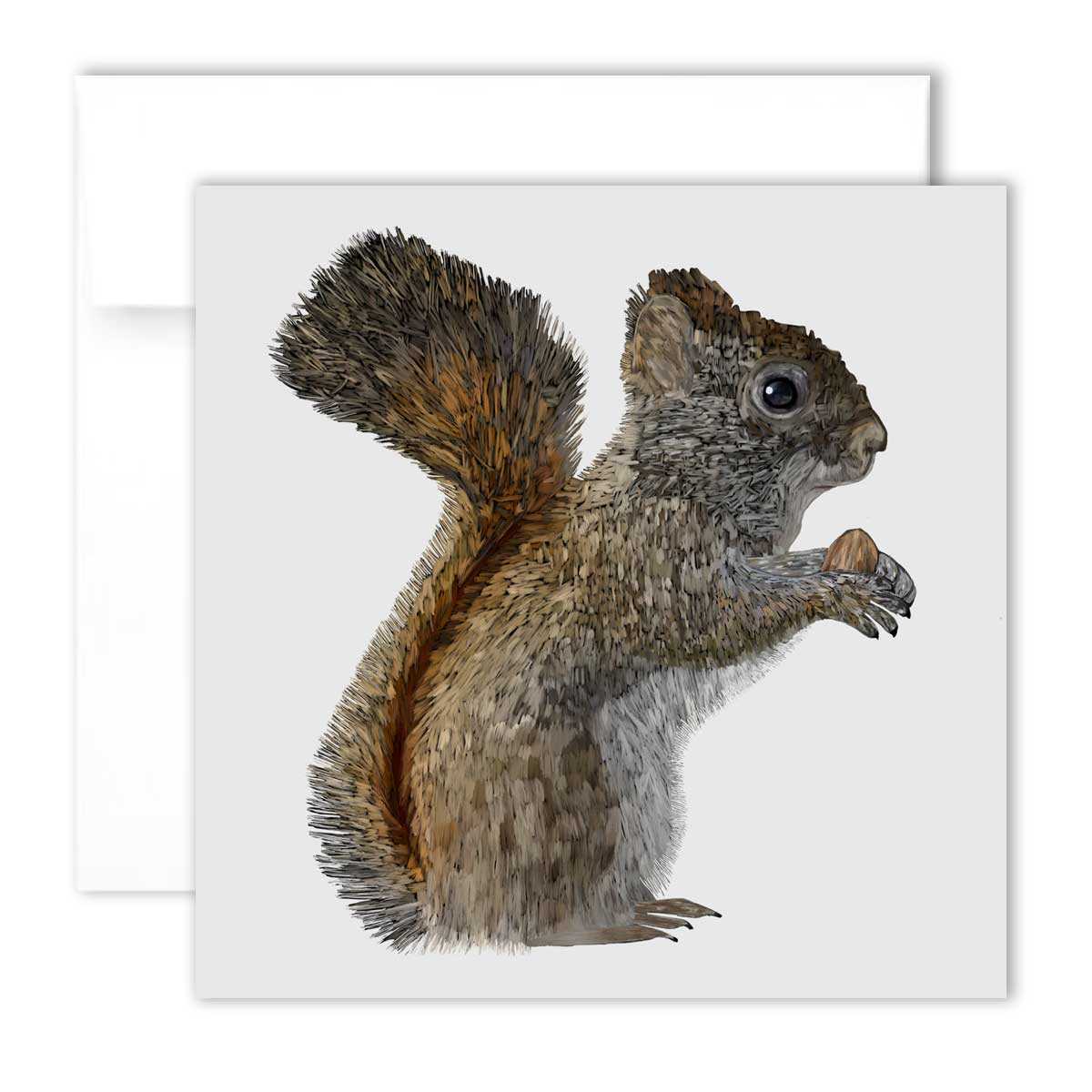 Greeting Card - American Red Squirrel - Unperfekt-Studios
