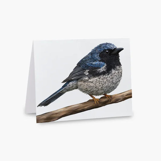 Greeting Card - Black-Throated Blue Warbler
