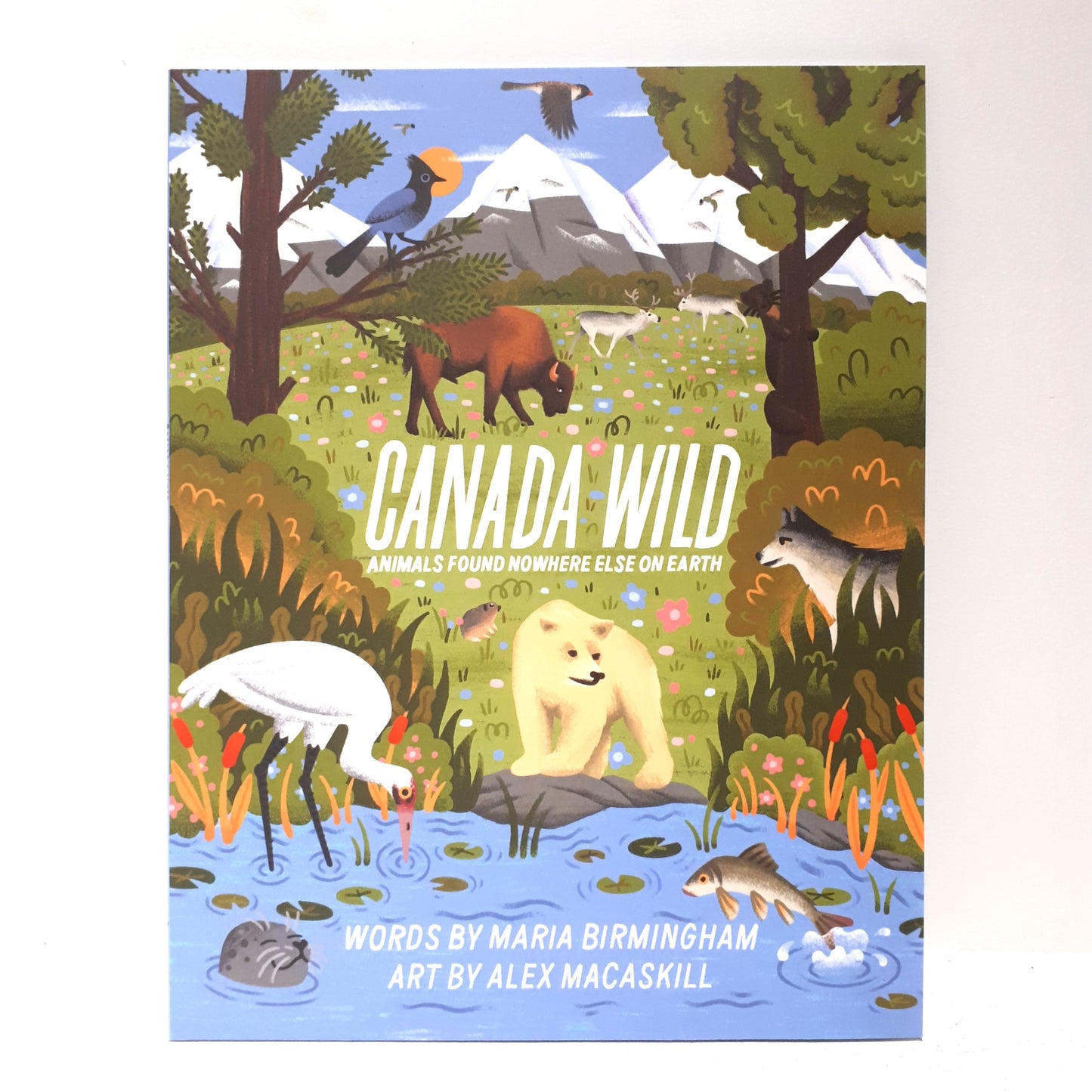 Childrens Books by Canadian authors/illustrators