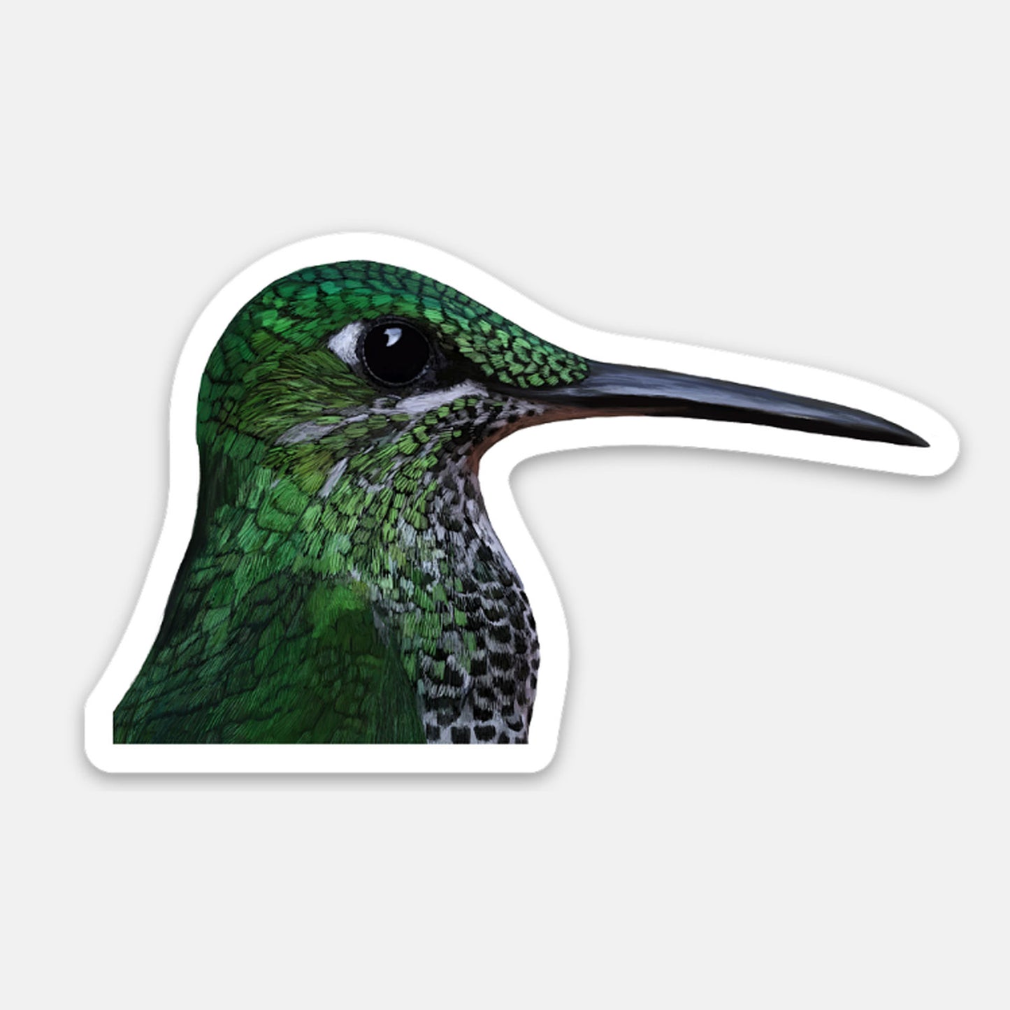 Vinyl Sticker - Green-Crowned Hummingbird