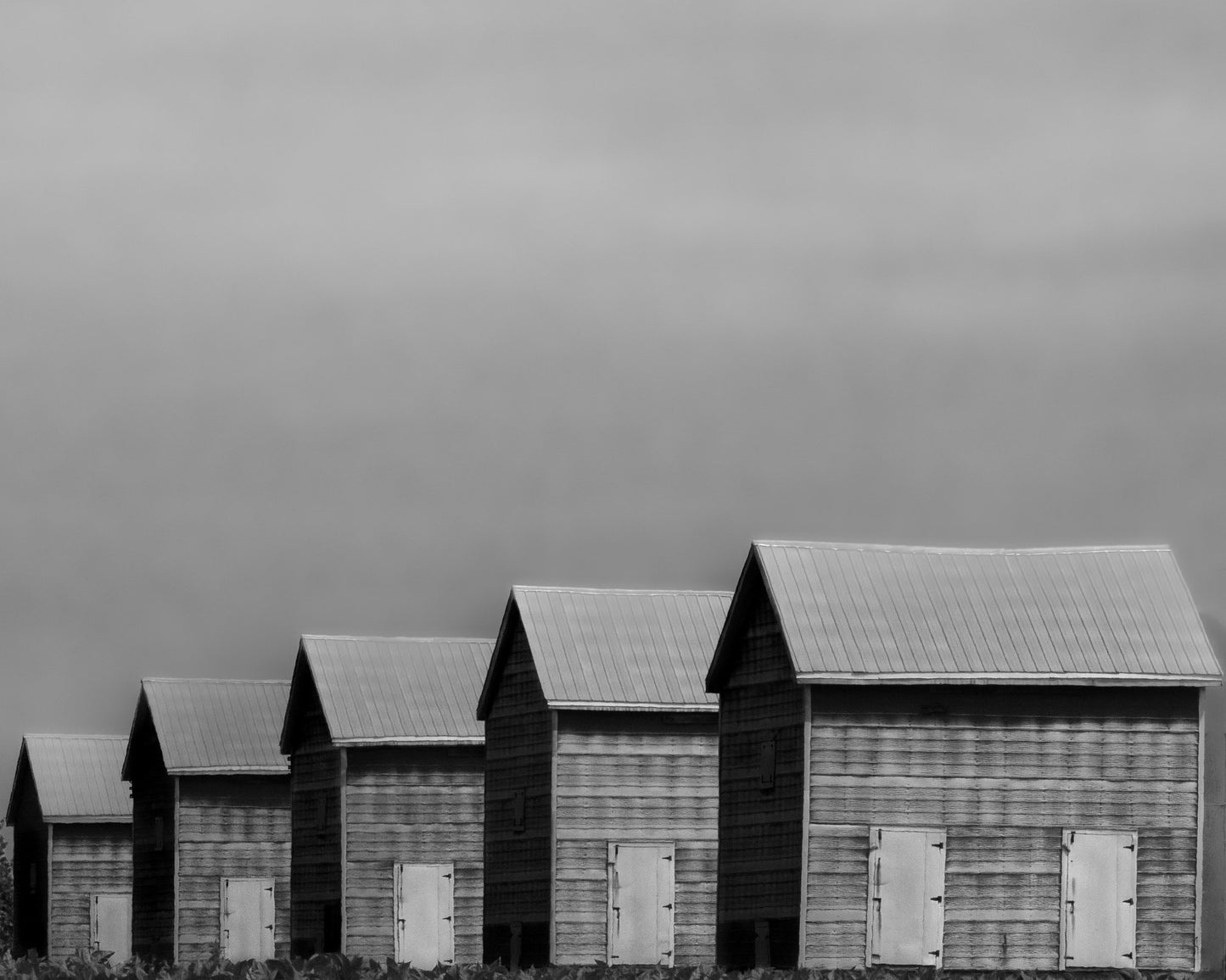 Photographic Print, Delhi Tobacco Sheds - Monique Campbell