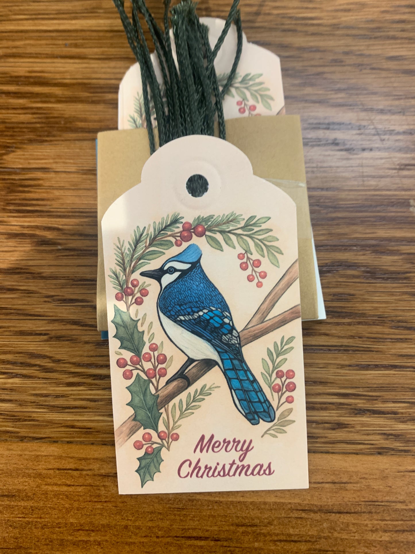 Christmas Gift Tags - Birds (Set of 10)