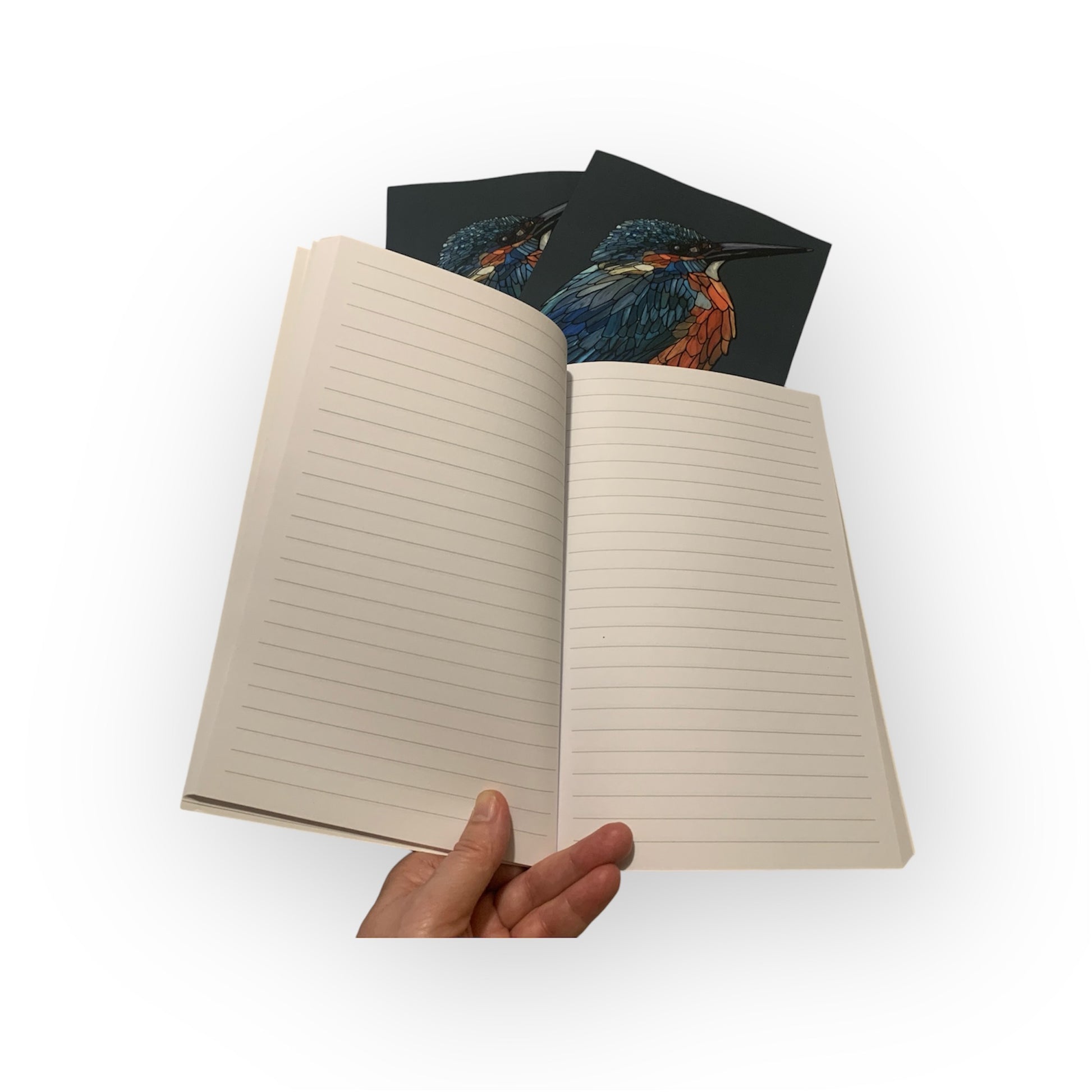Notebook, Journal - Common Kingfisher - Unperfekt-Studios
