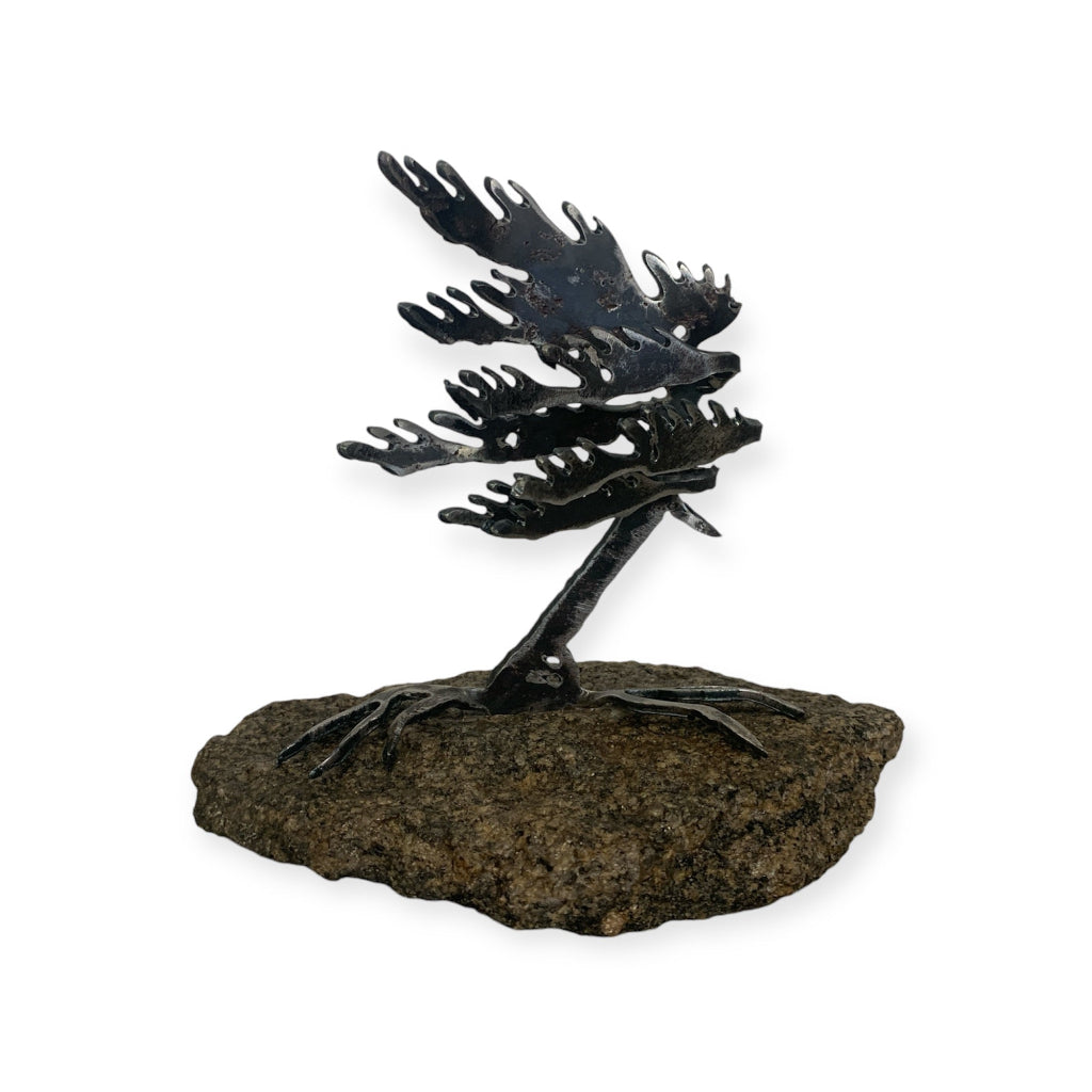 Steel Sculptures  - Trees on Granite - from Cedar Lake Canada (by Cathy Mark)