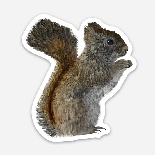 Fridge Magnet - American Red Squirrel