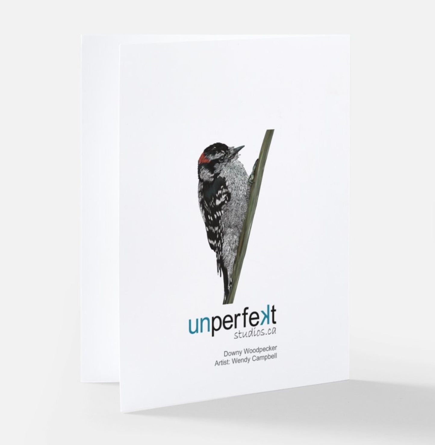 Greeting Card - Downy Woodpecker