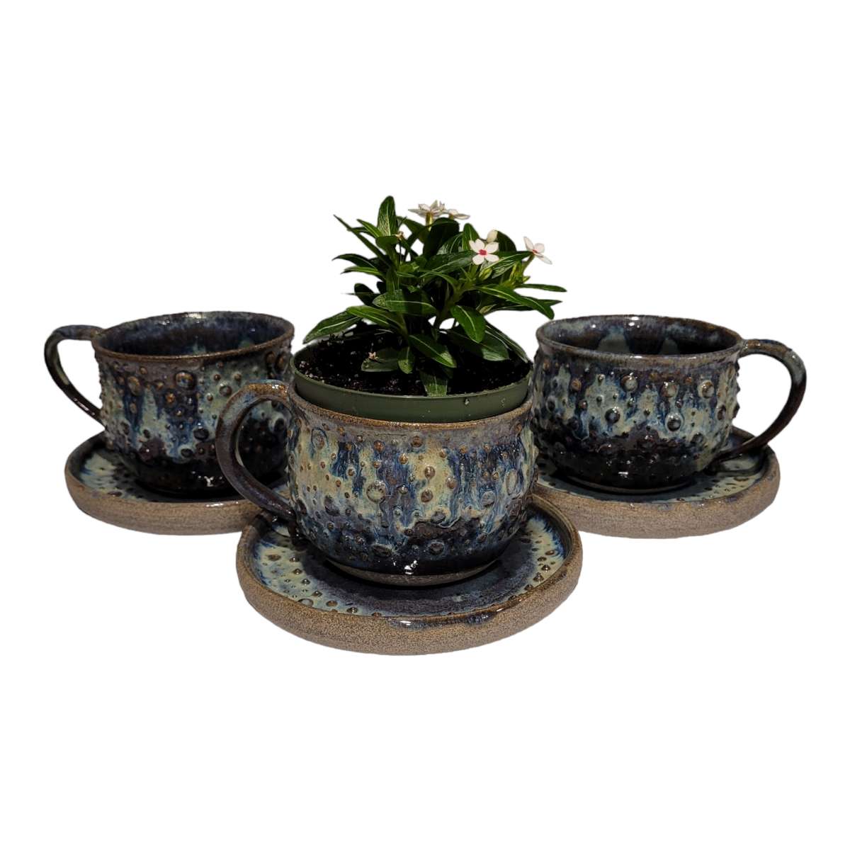 Cup & Saucer Planter