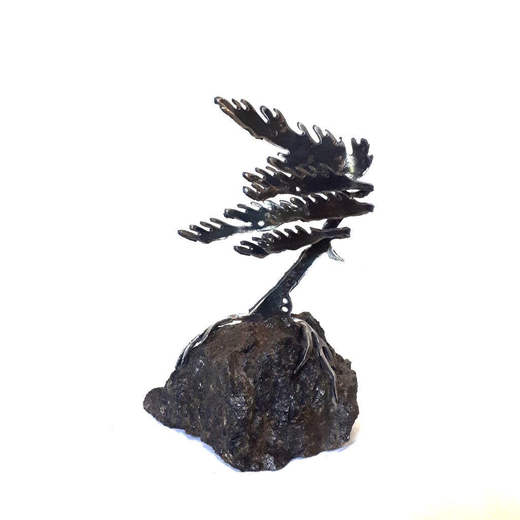 Steel Sculptures  - Trees on Granite - from Cedar Lake Canada (by Cathy Mark)