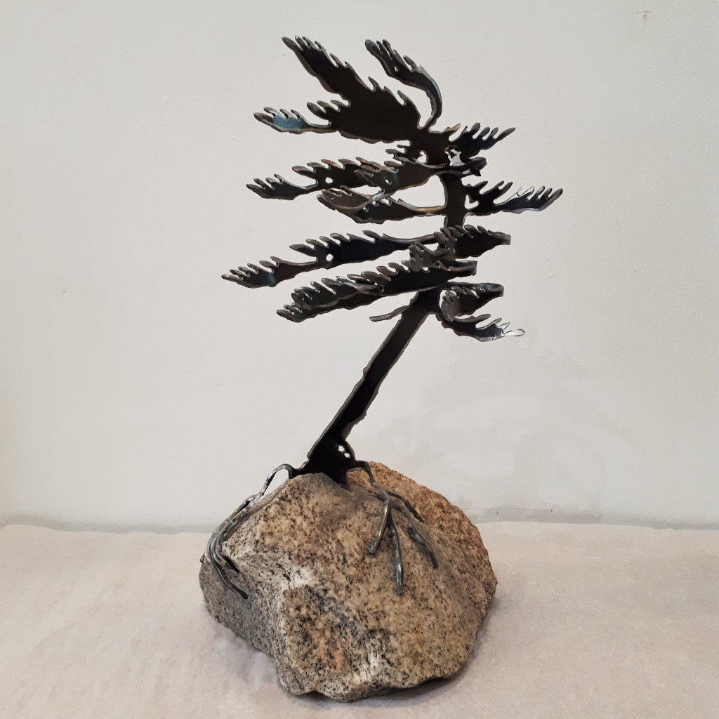 Cut-Steel Sculptures - Trees on Granite - from Cedar Lake Canada (by Cathy Mark)