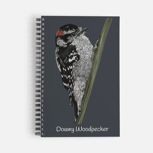 Notebook, Journal - Downy Woodpecker