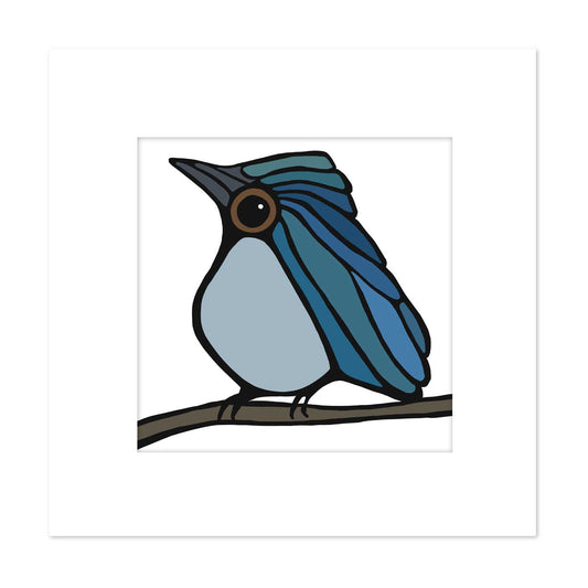 Signed & Matted Print - Blue Warbler - Unperfekt-Studios
