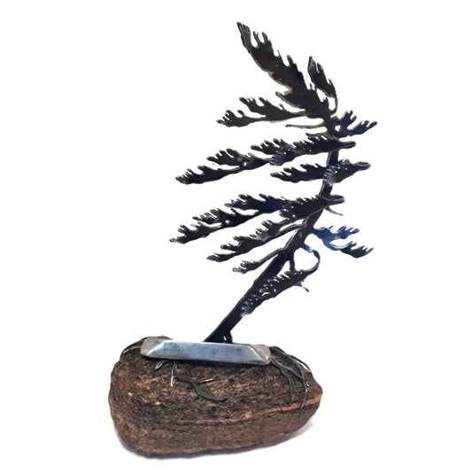 Steel Sculptures  - Trees on Granite - from Cedar Lake Canada (by Cathy Mark)