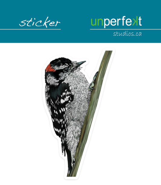Vinyl Sticker - Downy Woodpecker - Unperfekt-Studios