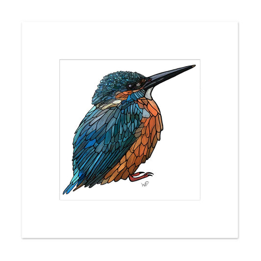 Signed & Matted Print - Kingfisher - Unperfekt-Studios
