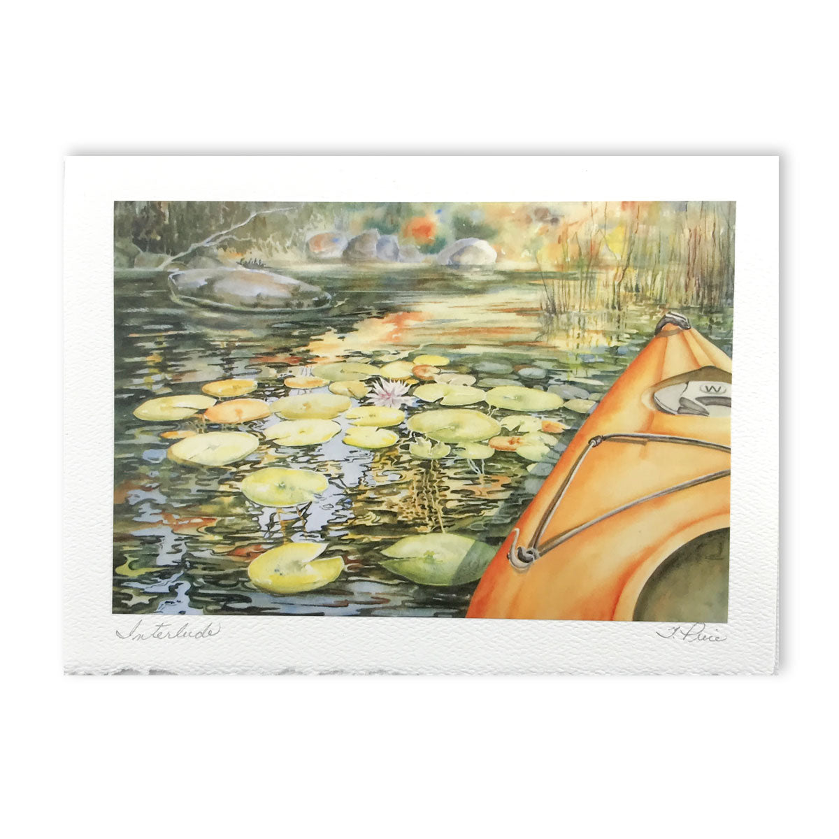 Cedar Lake Greeting Cards