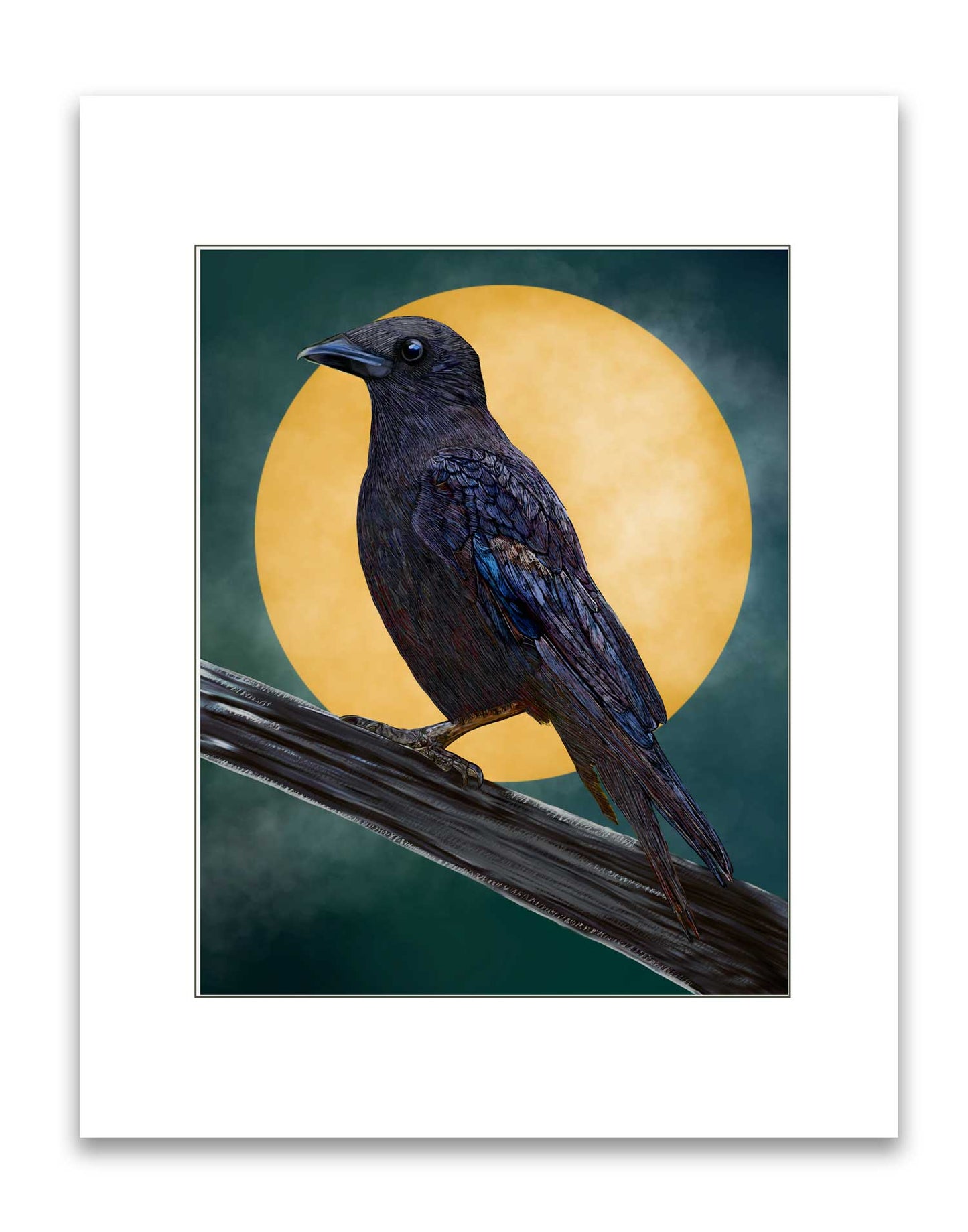 Signed & Matted Print - American Crow