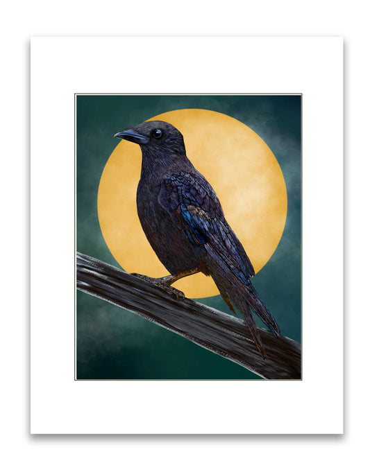 Signed & Matted Print - American Crow