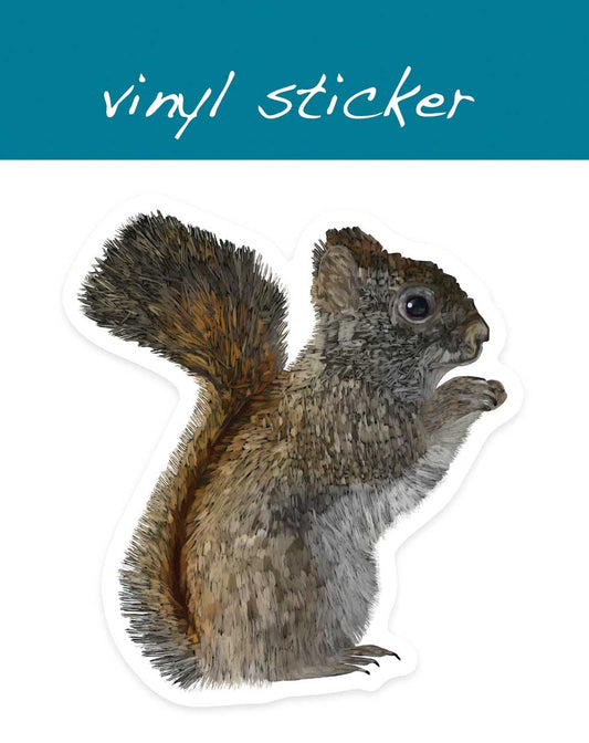 Vinyl Sticker - American Red Squirrel