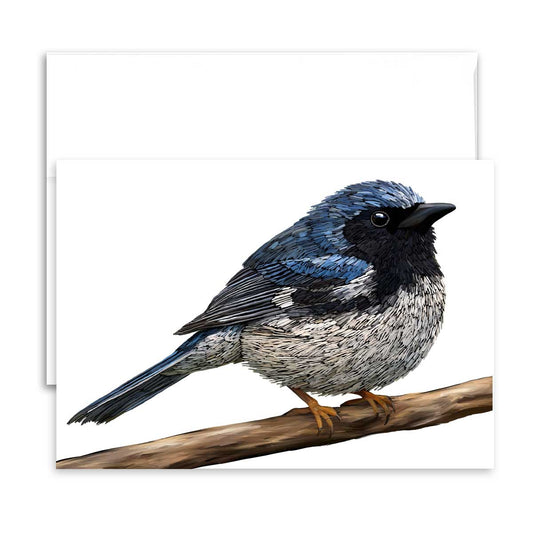 Greeting Card - Black-Throated Blue Warbler