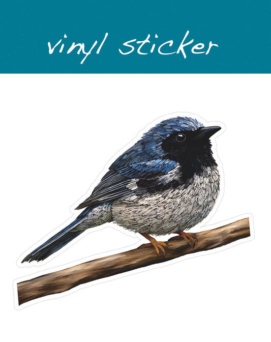 Vinyl Sticker - Black-Throated Blue Warbler
