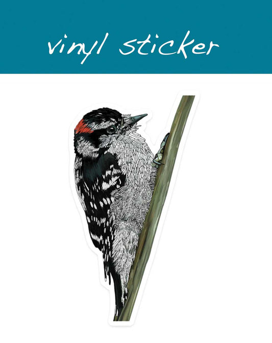 Vinyl Sticker - Downy Woodpecker