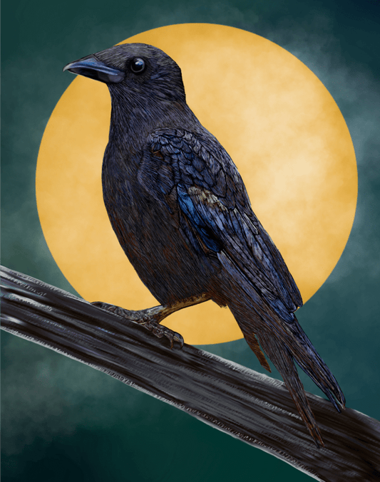 Vinyl Sticker - American Crow