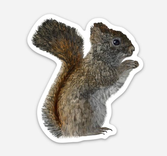 Vinyl Sticker - American Red Squirrel