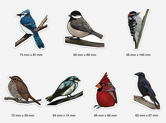 Canadian Bird Sticker Pack