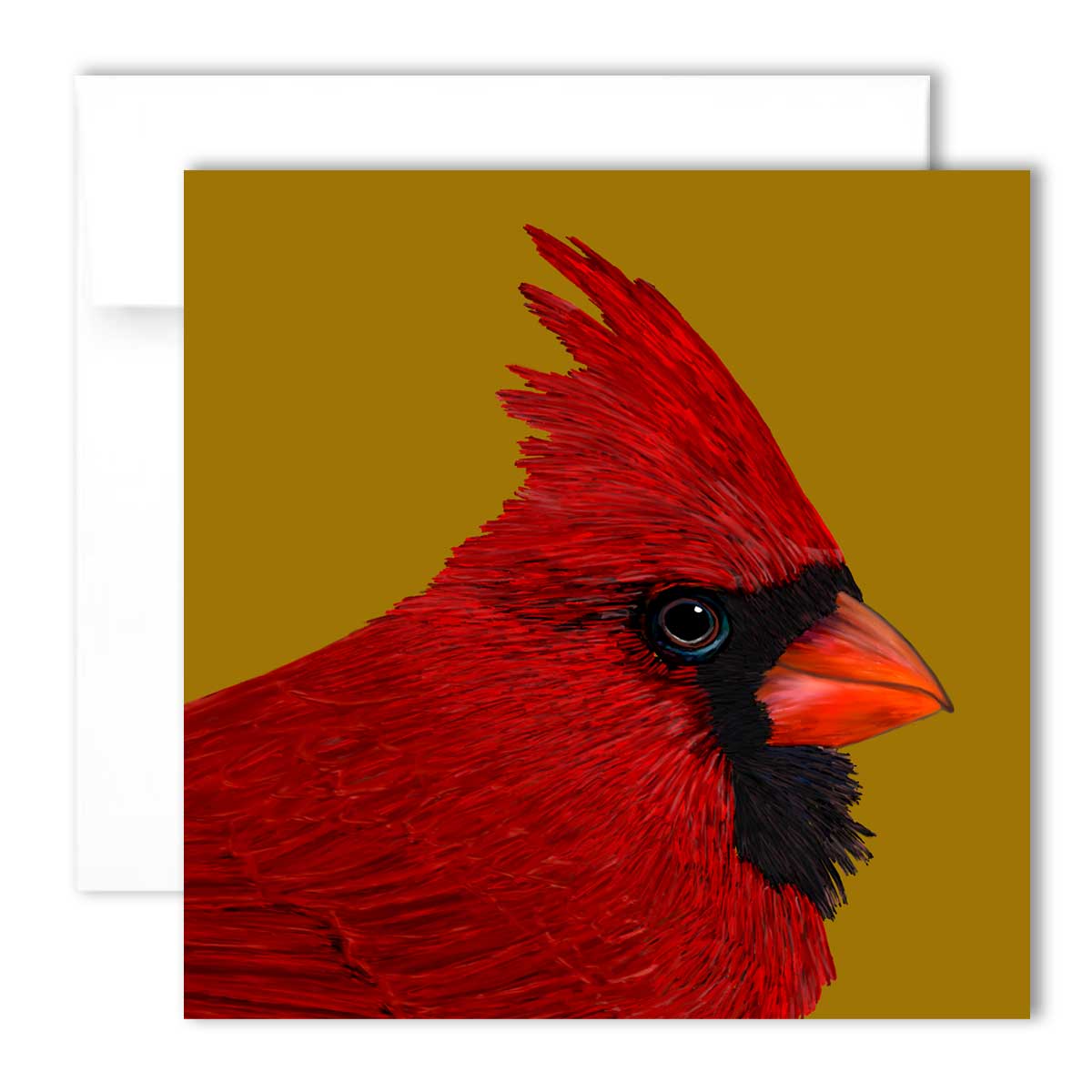 Greeting Card - Northern Cardinal