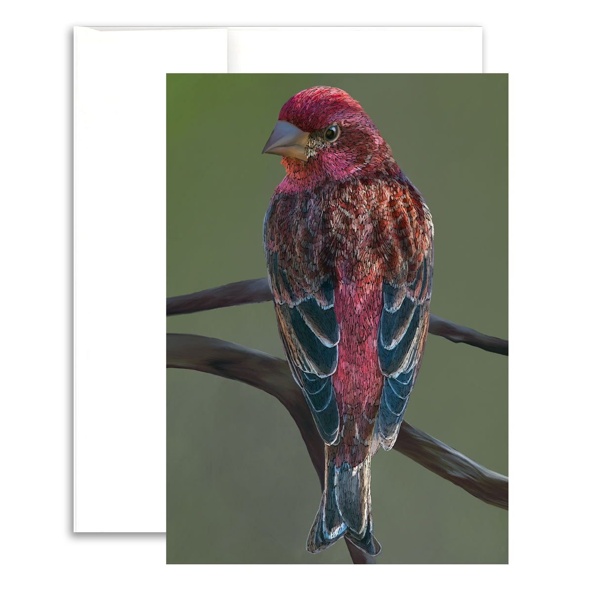 Greeting Card - Purple Finch