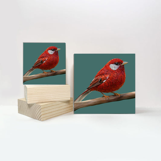 Print on Wood Block - Red Warbler