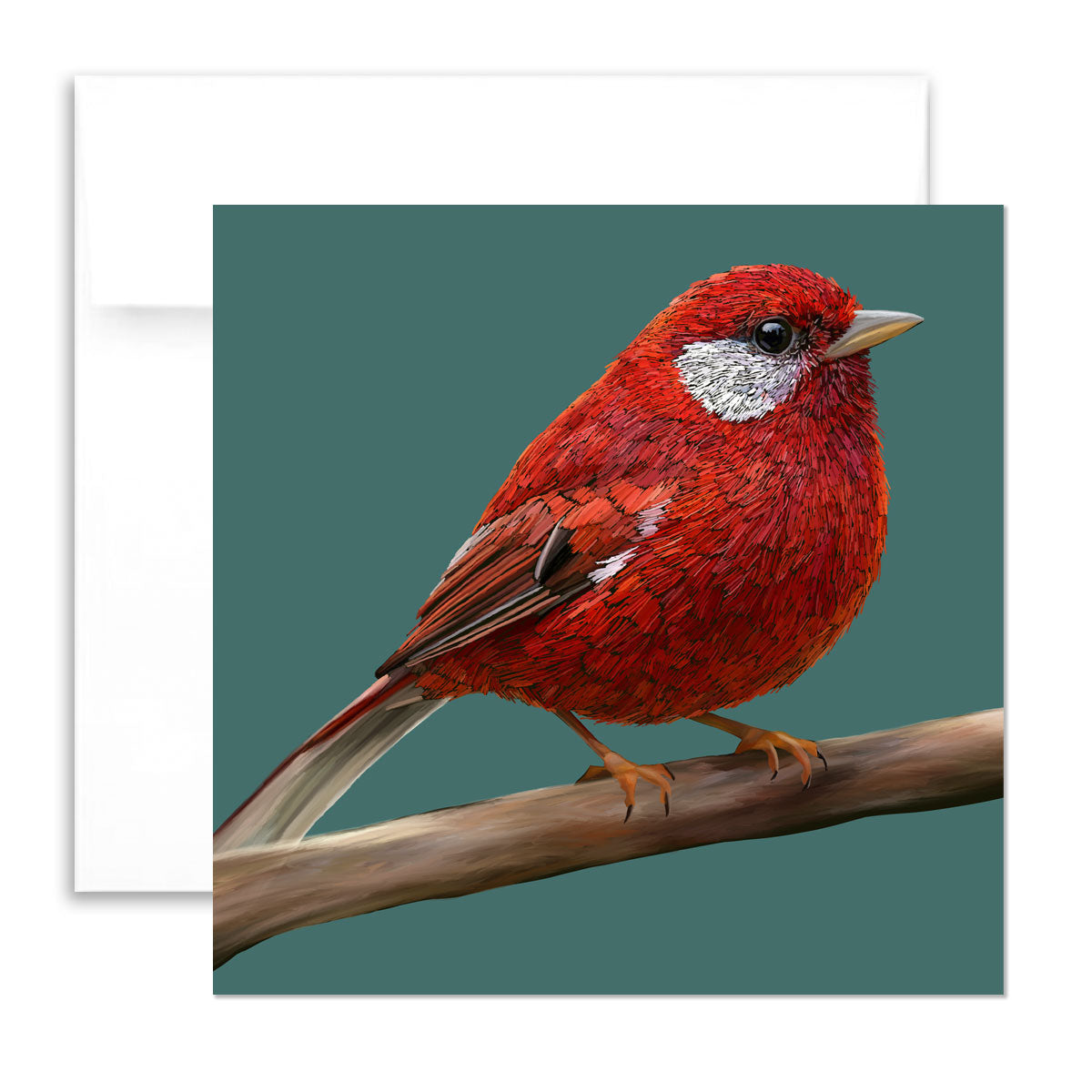 Greeting Card - Red Warbler