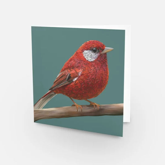 Greeting Card - Red Warbler