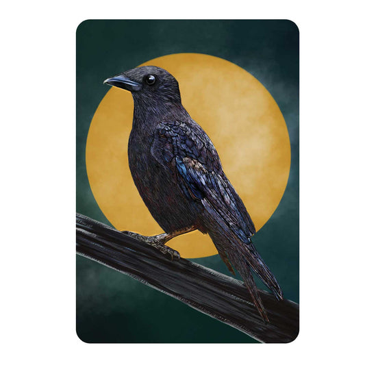 Vinyl Sticker - American Crow