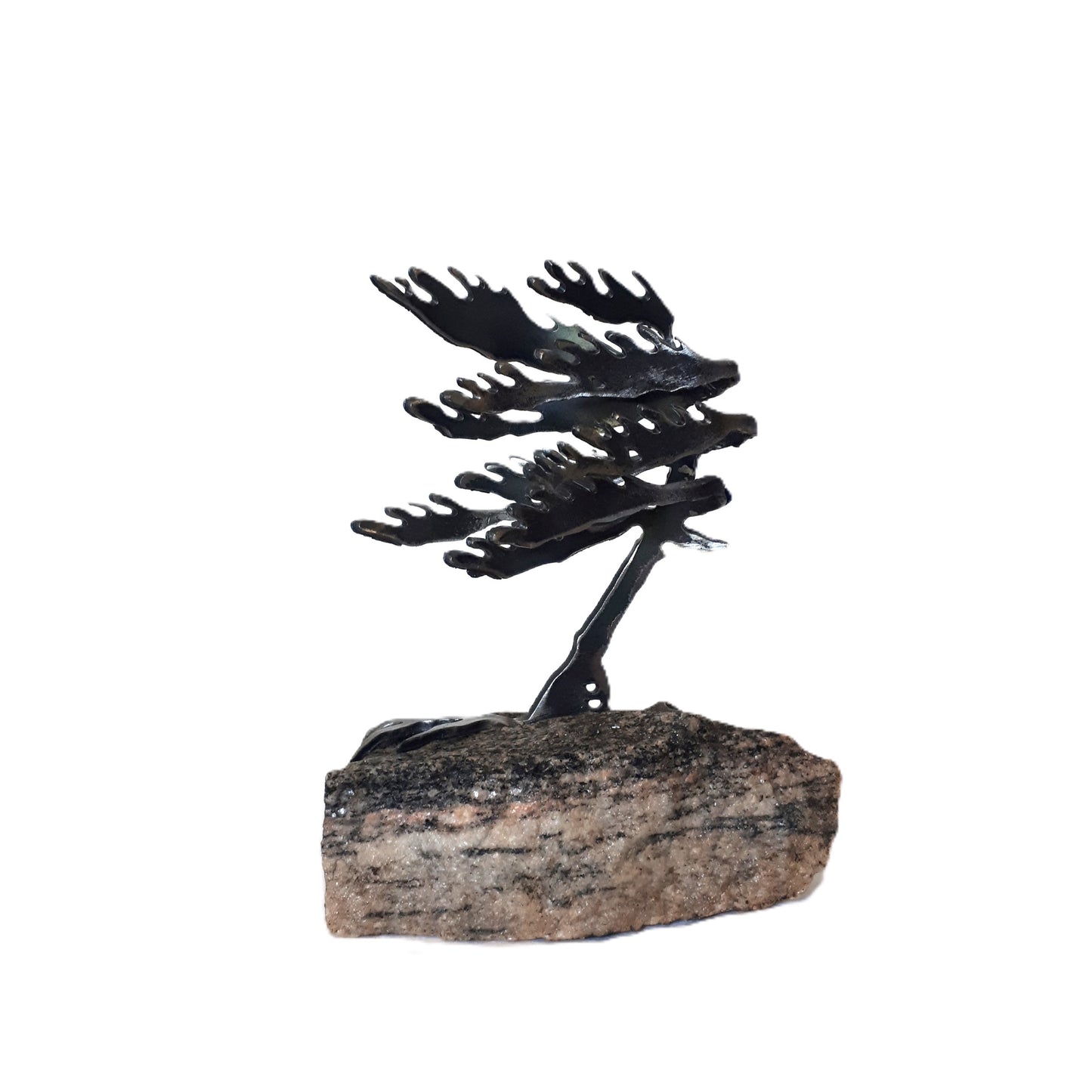 Cut-Steel Sculptures  - Trees on Granite - from Cedar Lake Canada (by Cathy Mark)