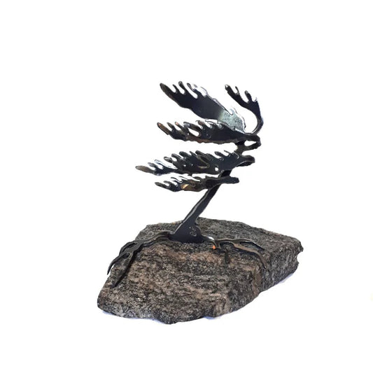 Cut-Steel Sculpture  - Tree on Granite - from Cedar Lake Canada (by Cathy Mark)